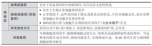 QQ截图20150311091516