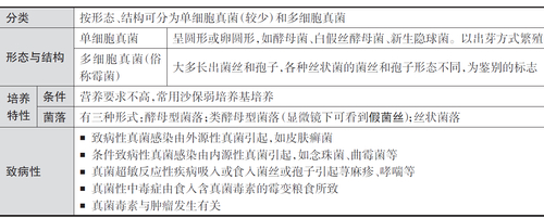 QQ截图20150324160944