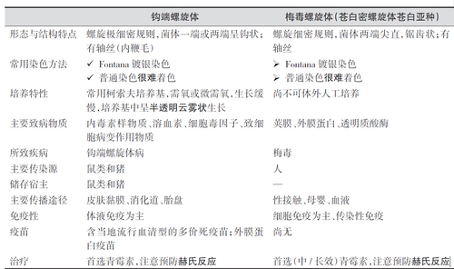QQ截图20150325091116