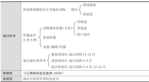 640.webp