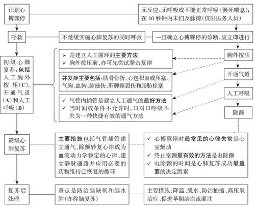 心搏骤停处理 心搏骤停处理
