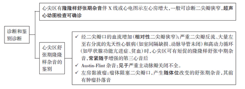 二尖瓣狭窄诊断