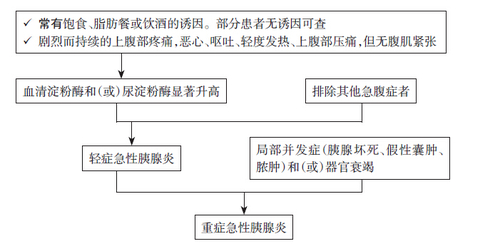 诊断