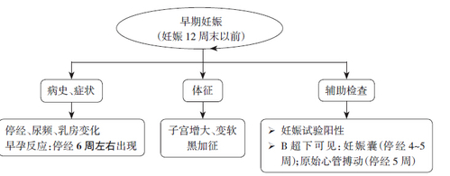 早期妊娠诊断
