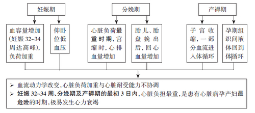妊娠分娩对心血管系统的影响