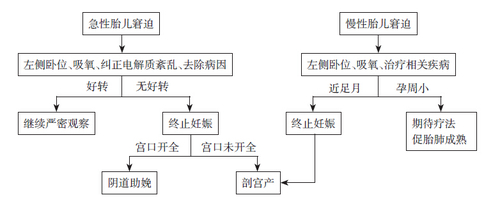 胎儿窘迫治疗