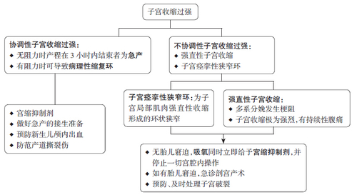 子宫收缩过强