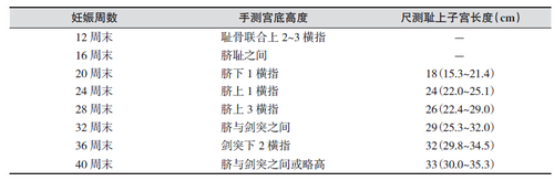 不同妊娠周数的宫底高度及子宫长度