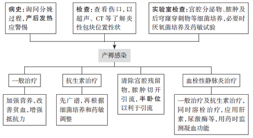 诊断及治疗