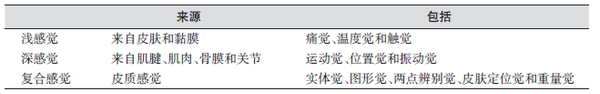 感觉系统分类