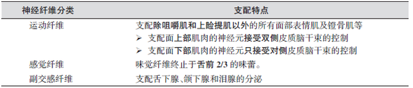 面神经