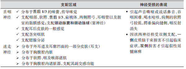 舌咽神经