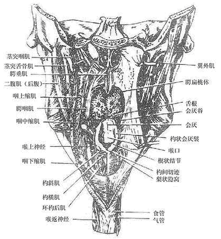 QQ截图20130911092154