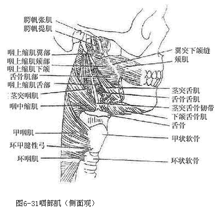 QQ截图20130911092154