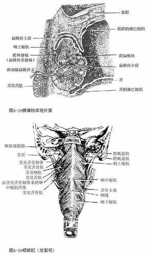 QQ截图20130911092120