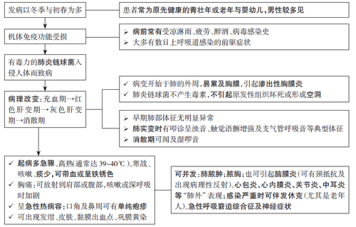 肺炎链球菌肺炎