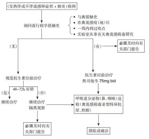 人禽流感病毒性肺炎