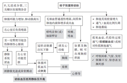 肺血栓栓塞性疾病