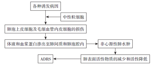 急性呼吸窘迫综合征病理