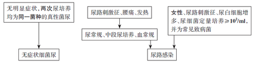 尿路感染