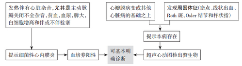 诊断
