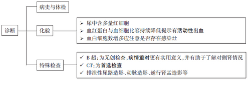 诊断