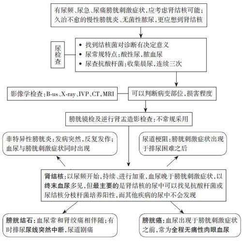 诊断与鉴别诊断