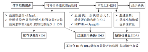 诊断