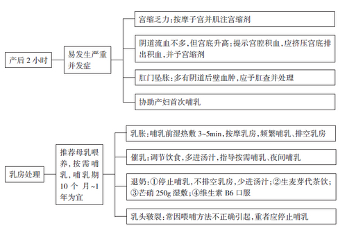 产褥期处理