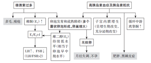 病理生理与临床表现