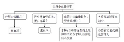 妊娠高血压疾病 妊娠高血压疾病