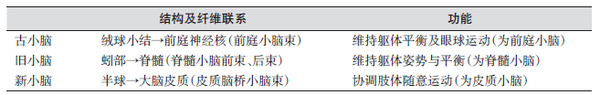解剖生理