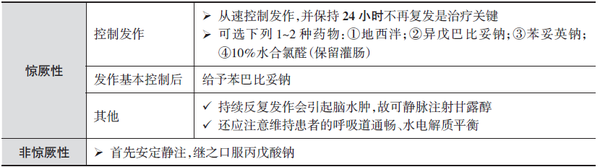 癫痫持续状态的治疗
