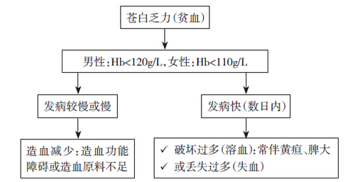 苍白乏力